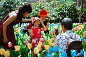 Khách kéo nhau chụp hình, giẫm nát vườn hoa hồng hoa tulip trong ngày đầu xuân