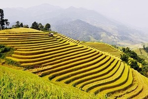 Những tour du lịch giá mềm hút khách dịp 2/9