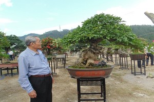 Chiêm ngưỡng triển lãm bonsai, chim cảnh “độc, lạ”, hiếm có, khó tìm