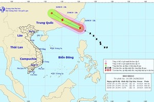 Bão Bailu: Các tỉnh, thành từ Quảng Ninh-Bình Định chủ động ứng phó