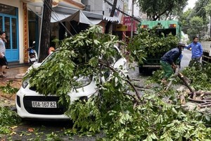 Ảnh hưởng bão số 2: Mưa giông làm tốc mái, xiêu vẹo 17 căn nhà ở Cần Thơ