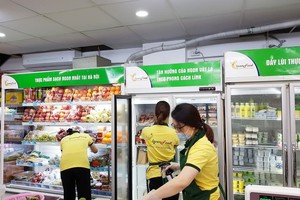 Công an vào cuộc xác minh có giòi trong cá kho ở cửa hàng CleverFood