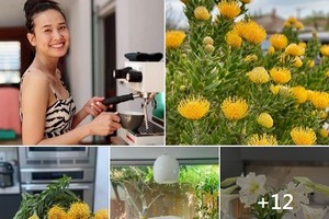 “Mỏi mắt” ngắm hoa nở rực rỡ trong vườn nhà Dương Mỹ Linh 