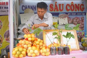 Chanh leo ngọt cả trăm nghìn đồng/kg vẫn cháy hàng 