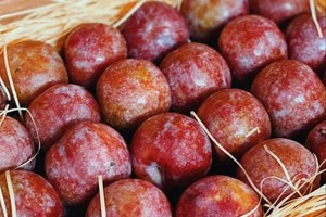 Mận Việt sang Hong Kong 400.000 đồng/kg có gì khác biệt?