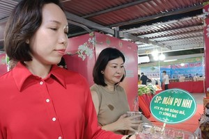 “Mận ngon nhất trong các loại mận” giá 130.000 đồng/kg vẫn cháy hàng