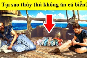 Tại sao thủy thủ xưa có chết đói cũng không ăn cá bắt được dưới biển? 