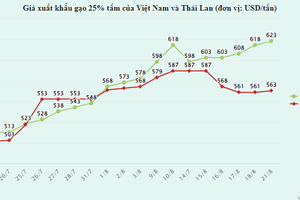 Giá một loại gạo Việt lập kỷ lục lịch sử, bỏ xa Thái Lan