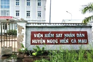 Cà Mau kết luận vụ cán bộ VKS bị tố “vòi tiền“: Không nhận hối lộ