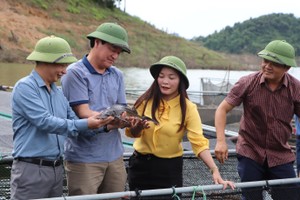 Liên hiệp các Hội Khoa học & Kỹ thuật Hà Tĩnh: Không ngừng đổi mới hoạt động