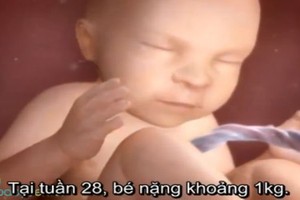 Hành trình kỳ diệu của thai nhi từ tuần 27 đến 38