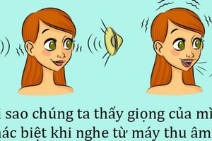 Tại sao chúng ta thấy giọng mình khác biệt khi ghi âm?