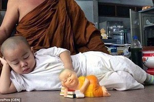 Thêm ảnh tiểu hòa thượng ngủ gật “đốn tim” dân mạng