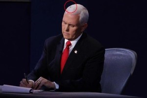 Thế giới dậy sóng vì “ngôi sao ruồi đen” trên tóc ông Mike Pence