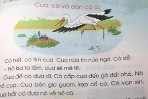 Tiếng Việt 1 Cánh Diều đầy rẫy 'sạn', chỉnh sửa sách có khả thi?