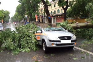 Hàng chục ôtô xe máy “nát bươm” sau bão tại Hà Nội