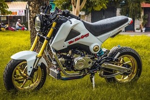 Dân chơi Việt chi cả trăm triệu độ Honda MSX 125