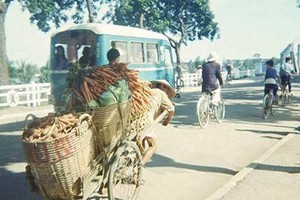 Ảnh hiếm của lính Mỹ: Miền Nam VN năm 1963 (2)