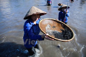 Cảnh dân vớt vàng đen sau trận lũ lịch sử