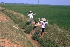 Hình ảnh khó quên về nông thôn Hà Nội năm 1991