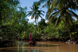 Sông nước miền Tây đẹp như mơ qua ảnh phó nháy Hà Lan