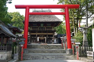 Giải mã cánh cổng Torii thần thánh ở các đền thờ Nhật Bản