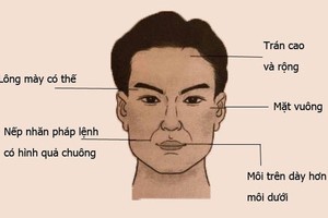 Đàn ông tướng mạo thế này rất “đểu” – nghiệm xem đúng không? 