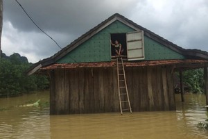 Bão số 8 đổ bộ: Bật mí cái “tra” của người dân miền Trung