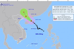 Bão số 1 giật cấp 14 đang hướng gần Quảng Ninh, Bắc bộ mưa to từ chiều tối 2/7