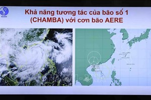 Ứng phó với bão số 1: Cần có biện pháp bảo vệ, di dời khách du lịch trên đảo Cát Bà