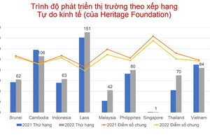 Thúc đẩy quyền tự do kinh doanh để Việt Nam có thể 'hóa rồng'