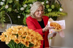 Hà Lan lấy tên Đệ nhất phu nhân Mỹ Jill Biden đặt cho hoa tulip 