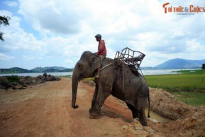 Loạt khoảnh khắc khó quên trên các cung đường Tây Nguyên