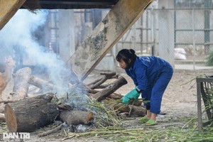 Động vật ở vườn thú Hà Nội được đốt lửa để sưởi ấm