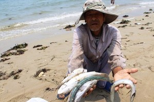 Chuyên gia Nga phản bác câu hỏi: Cá tôm hay là thép?