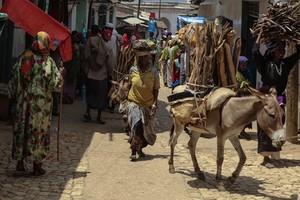 Chiêm ngưỡng thành phố cổ Harar: Mê cung ở đông Ethiopia