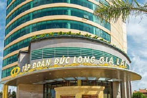 Nợ đầm đìa, Đức Long Gia Lai bị đấu giá lô đất hàng trăm m2 chỉ 57 tỷ