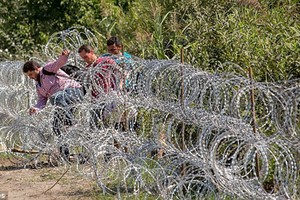 Rợn người cảnh dân di cư xé rào vào lãnh thổ Hungary 