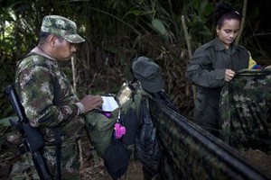 Ảnh hiếm: Cuộc sống trong rừng của quân nổi dậy Colombia