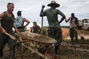 Cuộc sống không tiếng súng của thành viên FARC ở Clombia