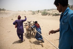 Ghé thăm huyện nghèo Pakistan xa xôi, quanh năm hạn hán