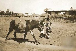 Loạt ảnh hiếm hoi về thành phố Thiên Tân thập niên 1920 