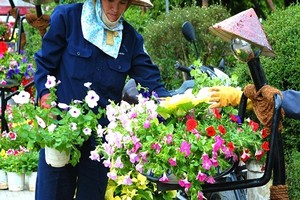 Ngất ngây "thưởng" trăm hoa khoe sắc chào Festival Đà Lạt