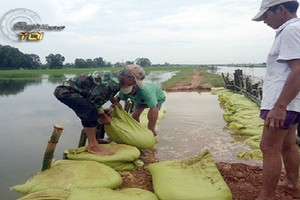 Thân phận bấp bênh của người dân vùng xả lũ