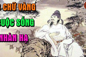 Video: 6 chữ vàng giúp bạn sống ung dung nhàn hạ cả đời