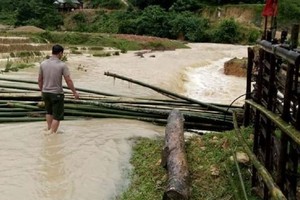 Thanh Hóa: Vỡ đê, hàng trăm hộ dân bị cô lập