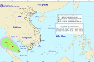 Miền Trung mưa rất to, báo động lũ khẩn cấp ở Quảng Nam, Quảng Ngãi