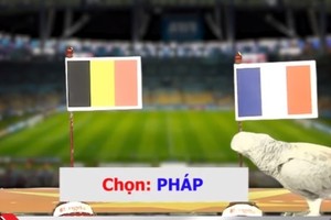 Video: Xem các linh vật dự đoán trận bán kết World Cup Pháp - Bỉ