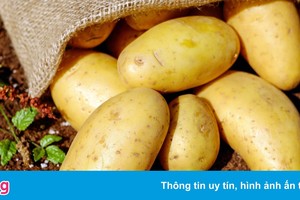 Những người không nên ăn khoai tây