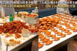 “Hoảng hồn” khi xem video 7 người ăn buffet hơn 300 con cua